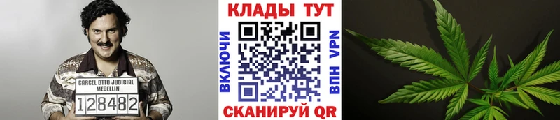 Виды наркотиков купить Вяземский ГАШИШ  АМФЕТАМИН  Мефедрон  Альфа ПВП 