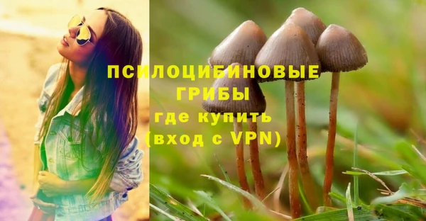 МДПВ Снежинск