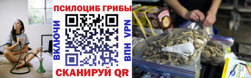 Псилоцибиновые грибы мухоморы  как найти   Вяземский 
